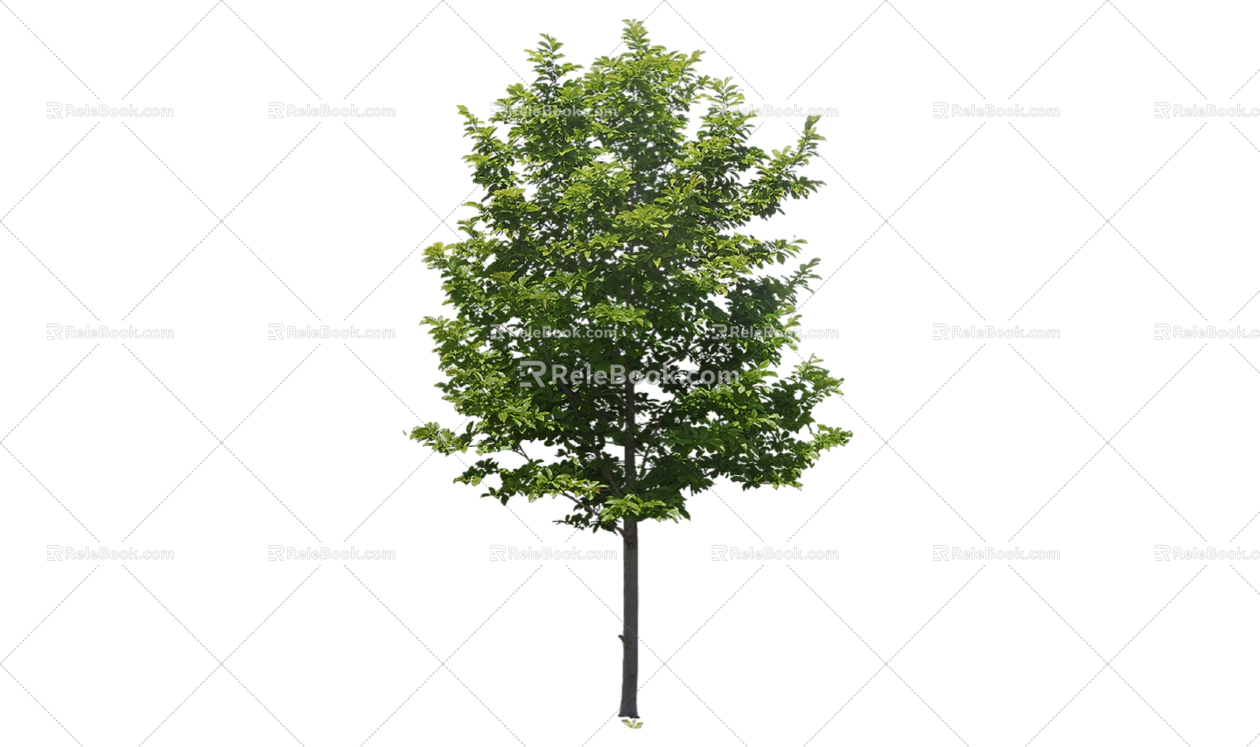 Tree 3d model