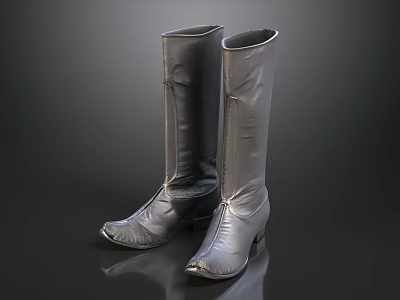 Silver Leather Knee High Boots with Zipper Design and Thin Heel on Dark Smooth Surface 3d model