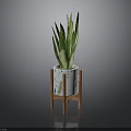 Green Variegated Leaf Plant In White Pot With Colorful Patterns On Wooden Stand