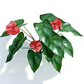 Vibrant Red Blooming Flowers With Lush Green Leaves And Fresh Natural Foliage