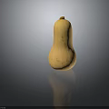 Fresh Light Yellow Butternut Squash Isolated With Spots On Black Background