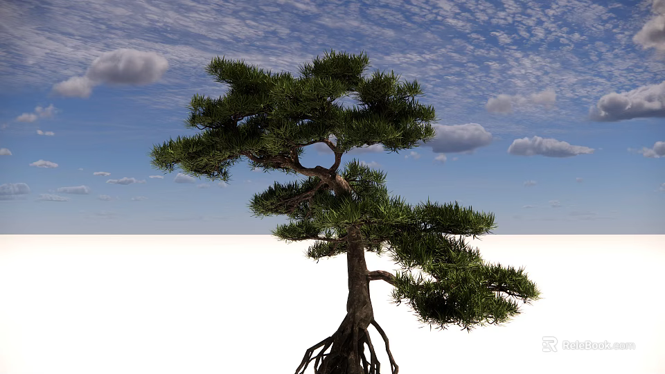Pine Arbor With Lush Green Foliage Exposed Roots And Blue Sky Background 3d model 