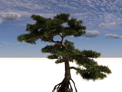 Pine Arbor With Lush Green Foliage Exposed Roots And Blue Sky Background 3d model