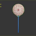 Colorful Red And White Spiral Lollipop On White Stick With Gray Gradient Background