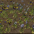 Butterflies Fluttering Around Purple And Yellow Pansies With Yellow Leaves On Dirt