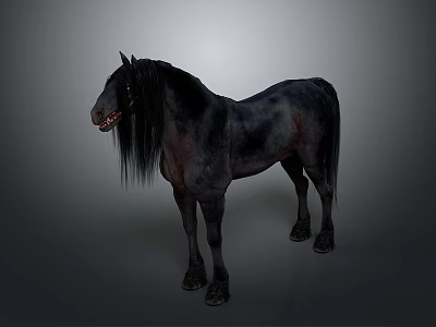 Black Horse With Long Mane And Tail Standing On Gray Background 3d model