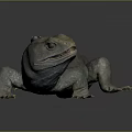 Gray Scaled Lizard Standing on Gray Background with Open Mouth 3d model