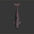 Pink Dolphin Marine Creature 3D Rendering With Spotted Textured Skin 3d model