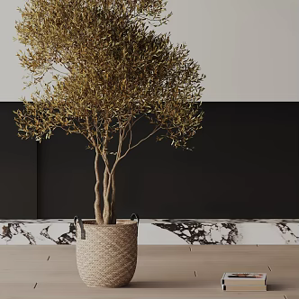 Modern Potted Plant 3d model