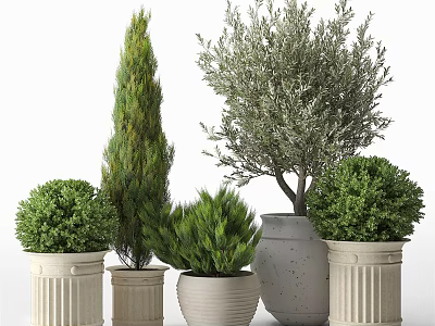 Bonsai and Potted Plants Featuring Various Shapes Sizes and Decorative Textured Ceramic Pots 3d model