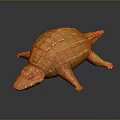Crocodile Alligator Nile Crocodile carnivore reptile cold-blooded animal reptile 3d model