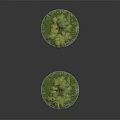 Two Graceful Weeping Willow Plants On Circular Grassy Bases With Green Foliage