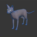 Hairless Pink Sphynx Cat with Yellow Eyes Large Ears Standing on Black Background with Reflection
