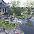 Chinese Courtyard Garden With Traditional Pavilion Pond Water Lilies Rocks And Greenery