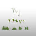 Vibrant Green Grass and Herbaceous Plants with Red Berries in Natural