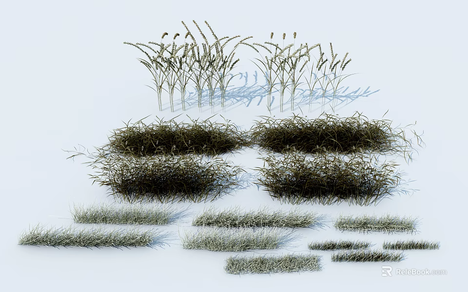 Various Natural Grass Plants With Different Clump Shapes And Textures 3d model 