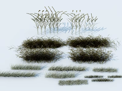 Various Natural Grass Plants With Different Clump Shapes And Textures 3d model