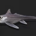 Strange Aquatic Animal With Large Eyes And Silverish Gray Body Features Unique Fins