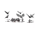 Flock of Flying Pigeons Some in Flight and Others on Ground