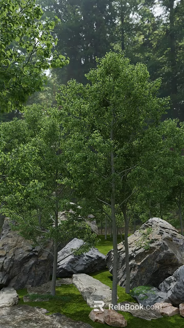 Lush Green Forest With Tall Trees Dense Foliage And Rocks 3d model 