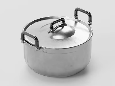 High Quality Stainless Steel Cookware Pot With Lid And Two Handles 3d model