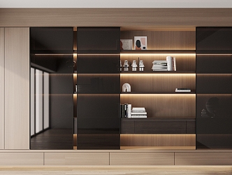 Modern bookcase 3d model