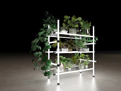 Indoor Plant Combination With White Multi tier Stand Various Green Potted Plants And Hanging Vines 3d model
