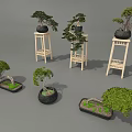 Multiple Bonsai Plants Featuring Curved Branches Green Foliage Placed on Wooden Stands and Ground