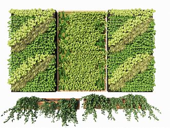 Modern Plant Wall Green Plant Wall Moss Wall Flower Groove Vine Plants 3d model