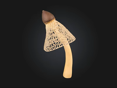 Decorative Mushroom Ornament With Brown Cap And Lacy Cream Handle Design 3d model