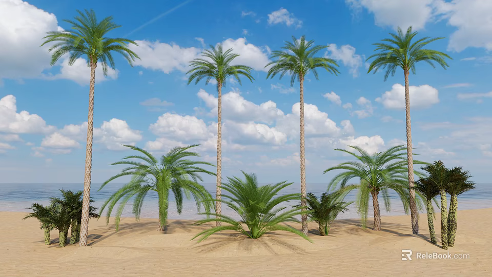 Tall Palm Trees On Sandy Beach With Blue Sky White Clouds And Ocean View 3d model 