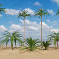Tall Palm Trees On Sandy Beach With Blue Sky White Clouds And Ocean View 3d model