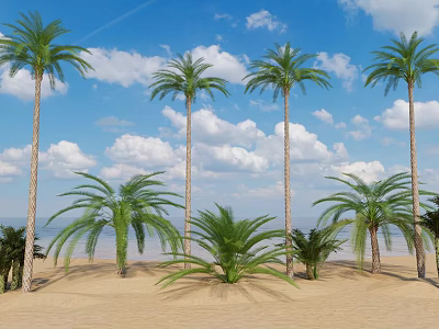 Tall Palm Trees On Sandy Beach With Blue Sky White Clouds And Ocean View 3d model