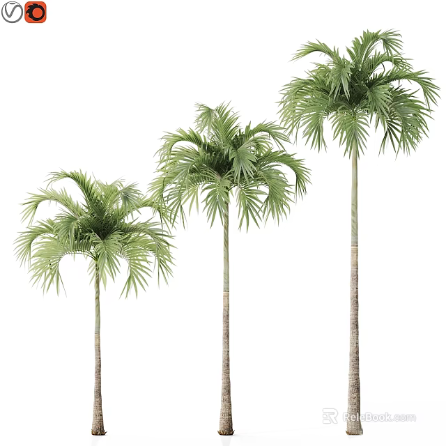 Decorative Ornament Set Featuring Three Palm Trees for Home Decoration 3d model 
