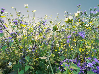 Lush Shrub With Purple And White Flowers And Green Leaves Under Blue Sky 3d model