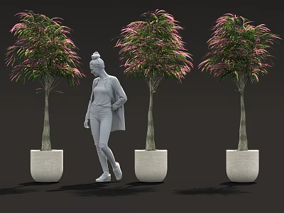Three Potted Plants With Pink Green Leaves And Female Figure Standing In Between 3d model