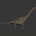 Rusty Brown Long Neck Dinosaur Model Standing With Raised Head On Gray Background
