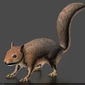 Realistic 3D Squirrel Model With Detailed Fur And Curled Tail In Natural Posture