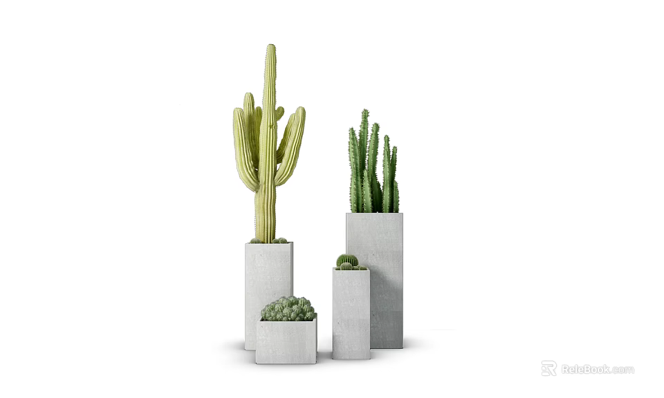 Modern Cactus Bonsai Potted Plants With Concrete Planters Various Sizes For Home Decor 3d model 