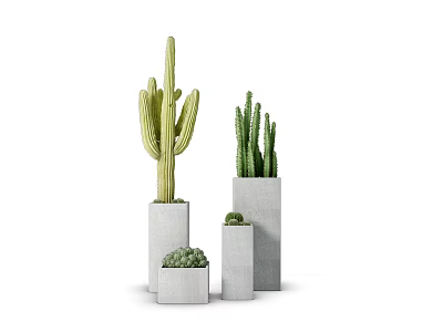 Modern Cactus Bonsai Potted Plants With Concrete Planters Various Sizes For Home Decor 3d model