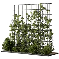 Green Plant Wall With Grid Structure And Lush Foliage Coverage 3d model