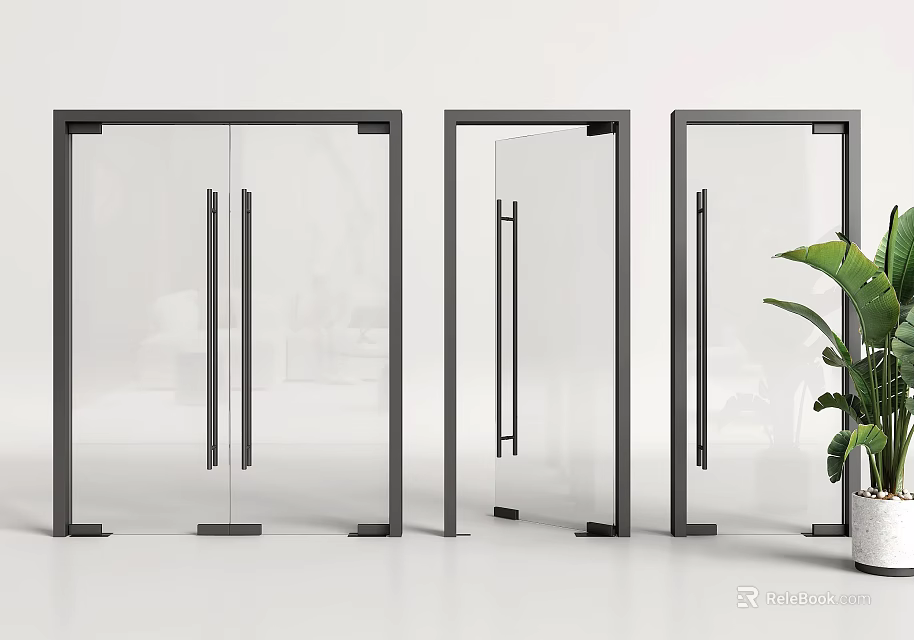 Modern Glass Doors With Black Frames And Transparent Panels Near Green Plant 3d model 