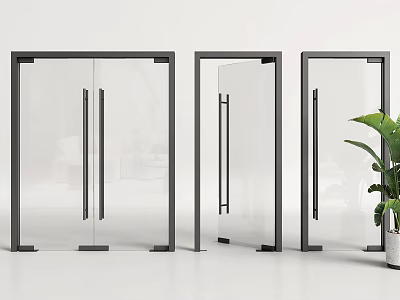 Modern Glass Doors With Black Frames And Transparent Panels Near Green Plant 3d model
