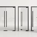 Modern Glass Doors With Black Frames And Transparent Panels Near Green Plant