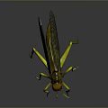 Detailed 3D Rendered Grasshopper With Yellow Green Body And Shiny Wings On Dark Background