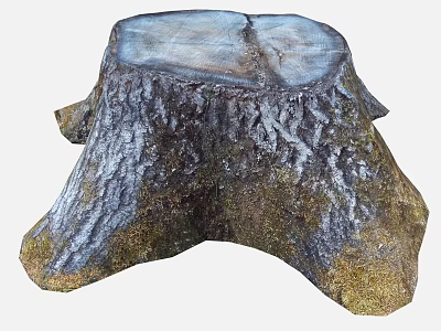 Natural Stone And Wood Tree Stump With Rustic Texture And Mossy Surface Design 3d model