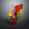 Colorful Plant With Red Flowers Purple Orchids Yellow Leaves Green Foliage And Red Pot