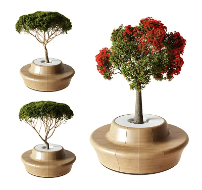 Bonsai Plants with Wooden Tiered Round Bases Green Red Leaf Trees for Indoor Decorative 3d model