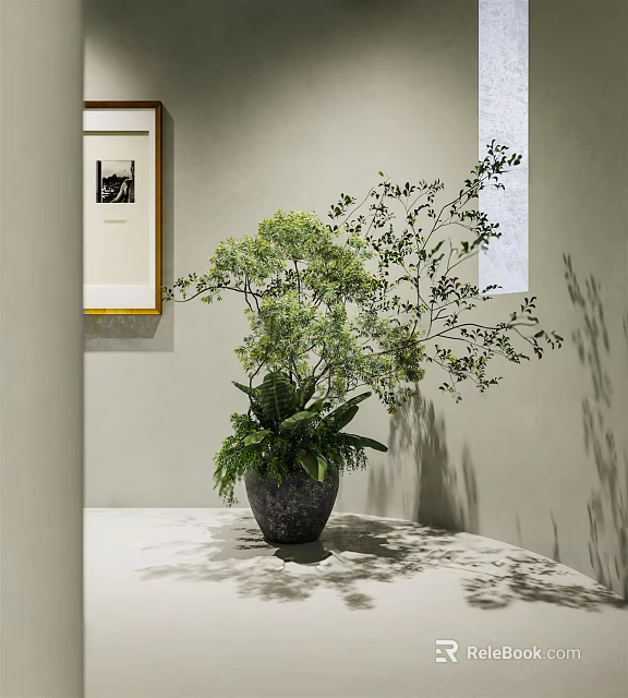 Indoor Decorative Bonsai Plant with Lush Green Leaves on Table Against Wall 3d model 