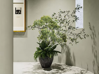 Indoor Decorative Bonsai Plant with Lush Green Leaves on Table Against Wall 3d model